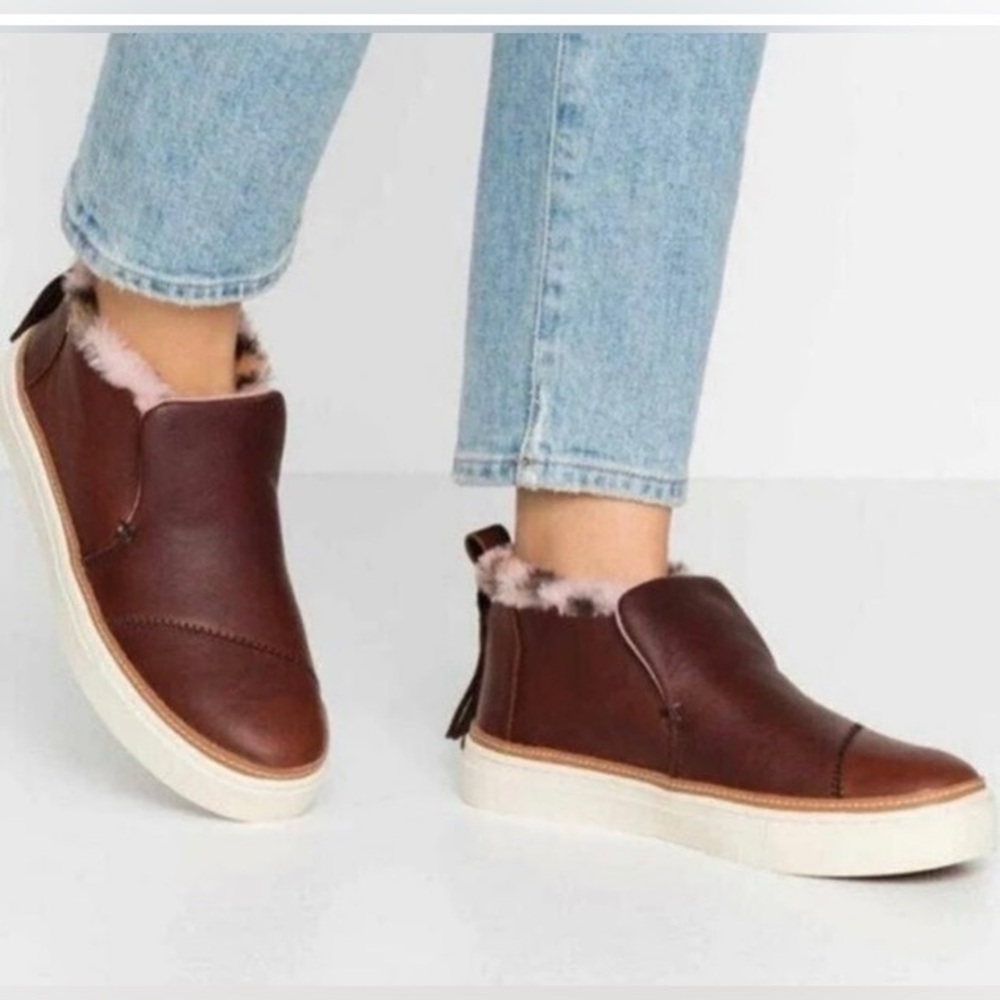 Toms Paxton Slip On Sneaker